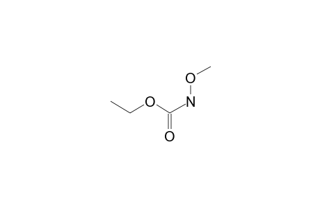 N-Carbethoxy-N-methoxyamine