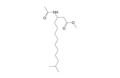 Methyl 3-(acetylamino)-12-methyltridecanoate