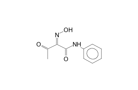 (Z)-ACETYL-N-PHENYLCARBAMOYLKETONE, OXIME