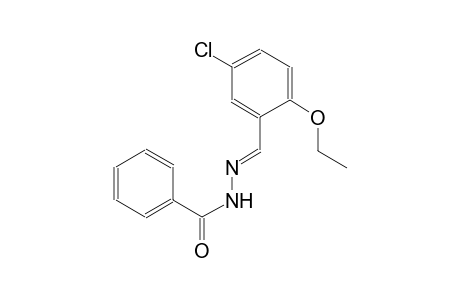 N'-[(E)-(5-chloro-2-ethoxyphenyl)methylidene]benzohydrazide