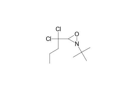2-tert-Butyl-3-(1,1-dichlorobutyl)oxaziridine