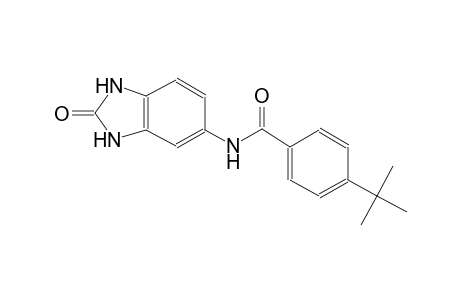 4-tert-butyl-N-(2-oxo-2,3-dihydro-1H-benzimidazol-5-yl)benzamide