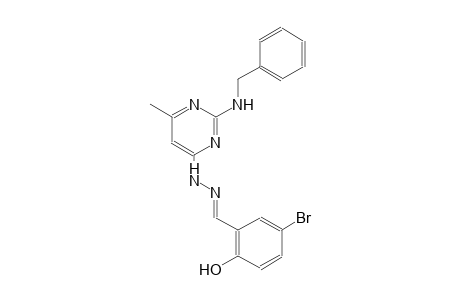 5-bromo-2-hydroxybenzaldehyde [2-(benzylamino)-6-methyl-4-pyrimidinyl]hydrazone