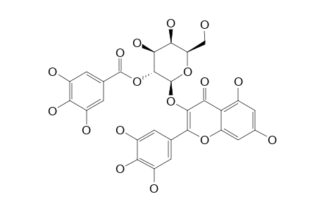 3-O-(2''-GALLOYL)-BETA-D-GALACTOPYRANOSIDE