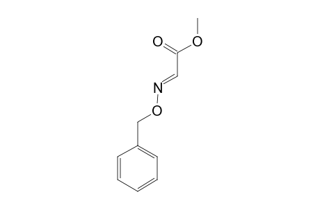 METHYL-GLYOXYLATE-O-BENZYLOXIME
