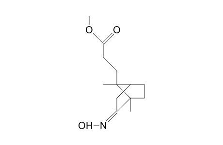 7-anti-(2-Methoxycarbonyl-ethyl)-1,7-dimethyl-bicyclo(2.2.1)heptan 2-oxime