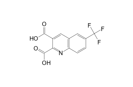 2,3-Quinolinedicarboxylic acid, 6-(trifluoromethyl)-
