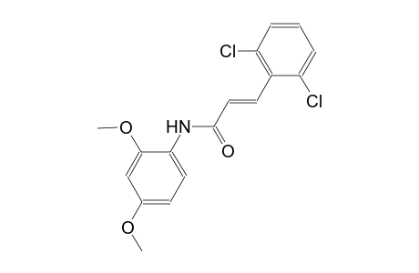 (2E)-3-(2,6-dichlorophenyl)-N-(2,4-dimethoxyphenyl)-2-propenamide