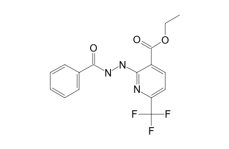 2-BENZOYL-HYDRAZINO-3-ETHOXY-CARBONYL-6-TRIFLUOROMETHYL-PYRIDINE