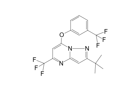 Pyrazolo[1,5-a]pyrimidine, 2-tert-butyl-5-trifluoromethyl-7-(3-trifluorophenoxy)-
