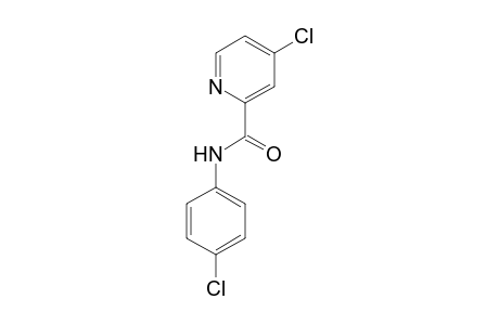 2-Pyridinecarboxamide, N-(4-chlorophenyl)-