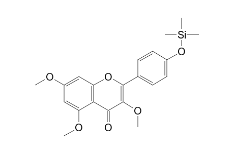 3,5,7-tri-O-methyl-4'-O-(trimethylsilyl)kaempferol