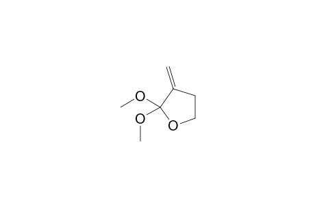 2,2-Dimethoxy-3-methylideneoxolane