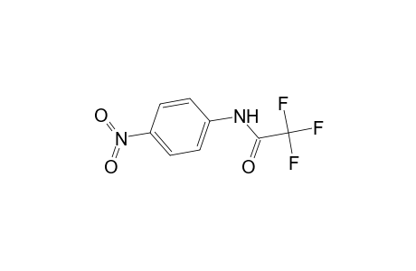 Acetamide, 2,2,2-trifluoro-N-(4-nitrophenyl)-