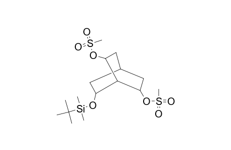 6-([tert-Butyl(dimethyl)silyl]oxy)-7-[(methylsulfonyl)oxy]bicyclo[2.2.2]oct-2-yl methanesulfonate