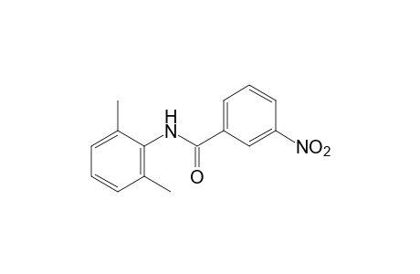 3-nitro-2',6'-benzoxylidide