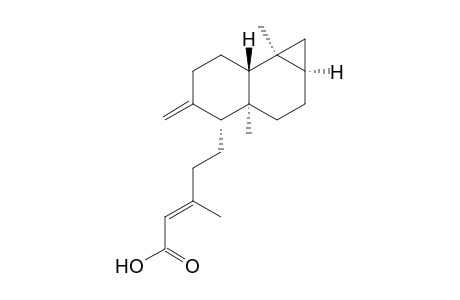 (E)-5-[(1aR,3aS,4R,7aR,7bS)-3a,7b-dimethyl-5-methylene-1,1a,2,3,4,6,7,7a-octahydrocyclopropa[a]naphthalen-4-yl]-3-methyl-2-pentenoic acid