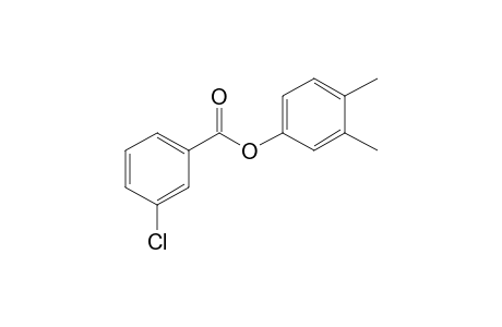 3-Chlorobenzoic acid, 3,4-dimethylphenyl ester