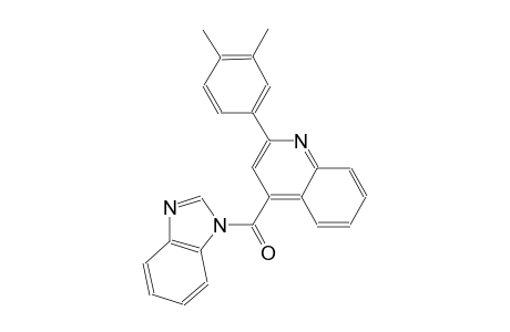 4-(1H-benzimidazol-1-ylcarbonyl)-2-(3,4-dimethylphenyl)quinoline