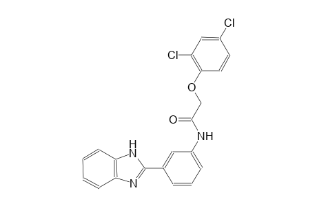 N-[3-(1H-benzimidazol-2-yl)phenyl]-2-(2,4-dichlorophenoxy)acetamide