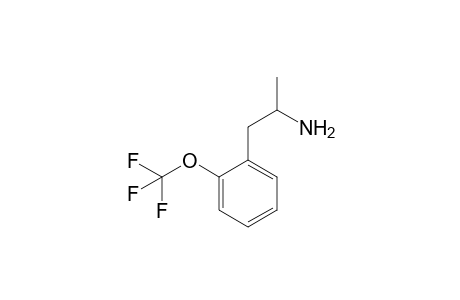 2-(Trifluoromethoxy)amphetamine
