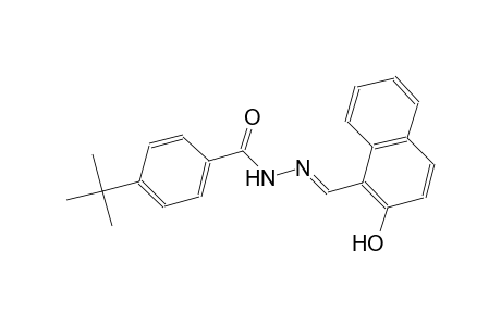 4-tert-butyl-N'-[(E)-(2-hydroxy-1-naphthyl)methylidene]benzohydrazide