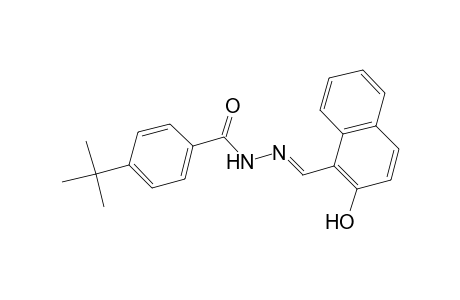 4-tert-butyl-N'-[(E)-(2-hydroxy-1-naphthyl)methylidene]benzohydrazide