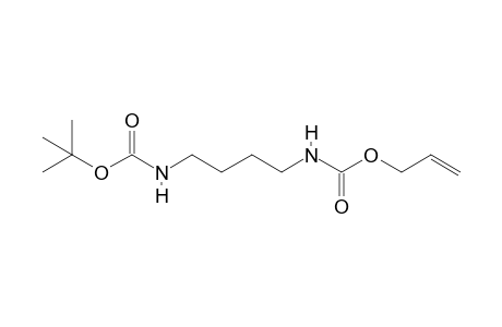 N-[4-(allyloxycarbonylamino)butyl]carbamic acid tert-butyl ester