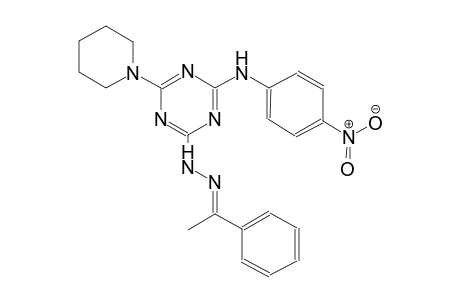 ethanone, 1-phenyl-, [4-[(4-nitrophenyl)amino]-6-(1-piperidinyl)-1,3,5-triazin-2-yl]hydrazone, (1E)-