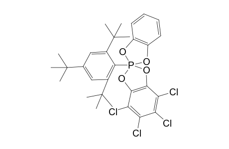 2,4,6-Tri-tert-butylphenyl(1,2-phenylenedioxa)(3,4,5,6-tetrachloro-1,2-phenylenedioxa)phosphorane