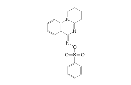 (Z)-3,4-dihydro-1H-pyrido[1,2-a]quinazolin-6(2H)-one O-phenylsulfonyl oxime