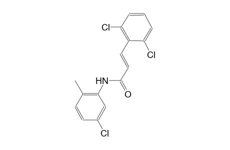 (2E)-N-(5-chloro-2-methylphenyl)-3-(2,6-dichlorophenyl)-2-propenamide