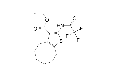 ethyl 2-[(trifluoroacetyl)amino]-4,5,6,7,8,9-hexahydrocycloocta[b]thiophene-3-carboxylate