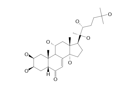 TURKESTERONE