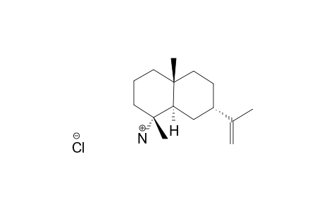 (4R*,5R*,7S*,10R*)-Eudesm-11-en-4-ylamine hydrochloride