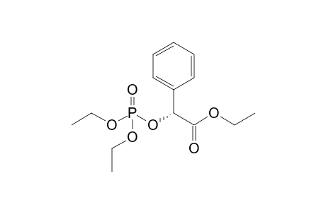 Ethyl (R)-2-(Diethoyphosphoryloxy)-2-phenylacetate
