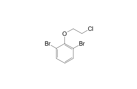 (2,6-Dibromophenyl)(2-chloroethyl)ether