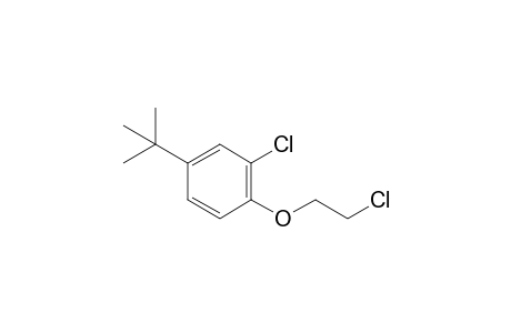 4-Tert-Butyl-.beta.,o-dichlorophenetole
