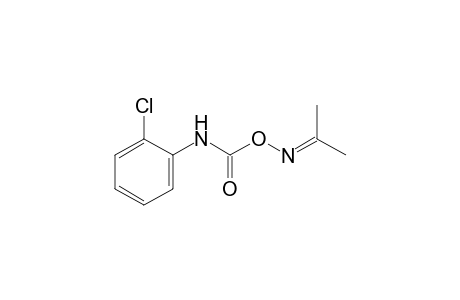 acetone, O-[(o-chlorophenyl)carbamoyl]oxime