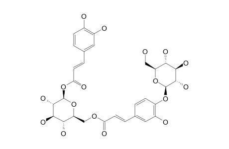 SCROCAFFESIDE-A;(E)-CAFFEOYL-6-O-[4-O-(BETA-D-GLUCOPYRANOSYL)-(E)-CAFFEOYL]-BETA-D-GLUCOPYRANOSIDE