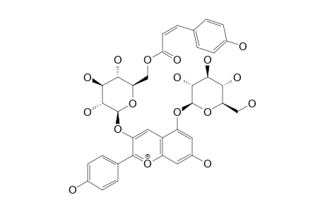 PELARGONIDIN_3-O-(6-O-TRANS-PARA-COUMARYL-BETA-D-GLUCOSIDE)-5-O-BETA-D-GLUCOSIDE