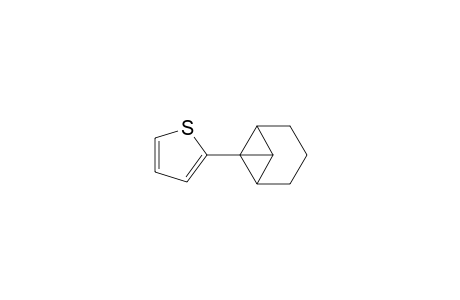 2-(Tricyclo[4.1.0.0(2,7)]hept-1-yl)thiophene