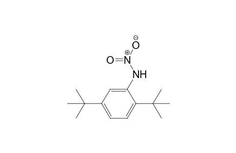 2,5-Di(tert-butyl)-N-nitroaniline