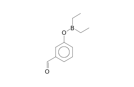 3-Formylphenyl diethylborinate