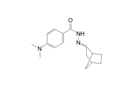 N'-[(2E)-bicyclo[2.2.1]hept-2-ylidene]-4-(dimethylamino)benzohydrazide