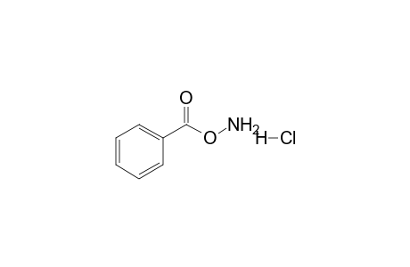 Hydroxylamine, o-benzoyl-, hydrochloride