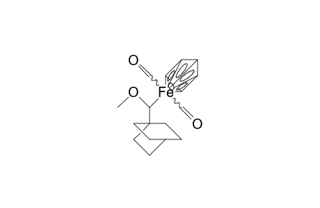 (Bicyclo(2.2.2)octan-1-yl)-methoxy-methyl-(/.eta.-5/-cyclopentadienyl) iron dicarbonyl