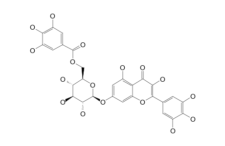 MYRICETIN-7-O-BETA-(6''-GALLOYLGLUCOPYRANOSIDE)
