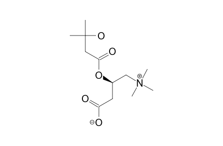 3-HYDROXY-3-METHYLBUTANOYL-CARNITINE