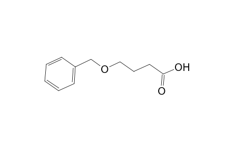 Butanoic acid, 4-(phenylmethoxy)-